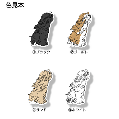 風に吹かれるラサアプソちゃん。115-5