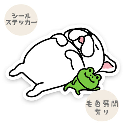 無防備なフレブルちゃん。96−504