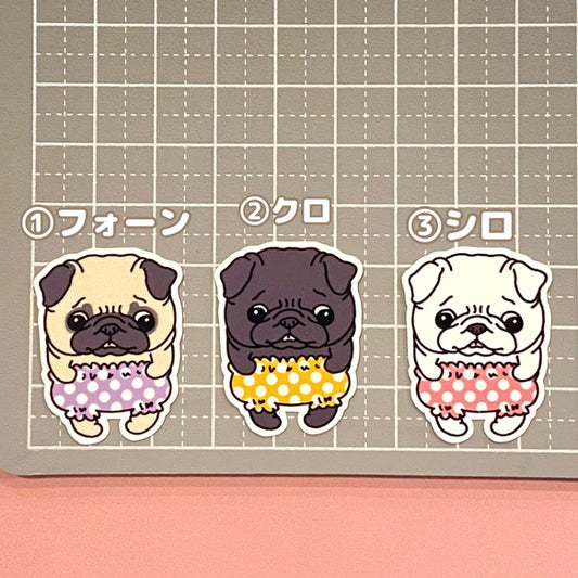 おパンツはけたパグちゃん。76-