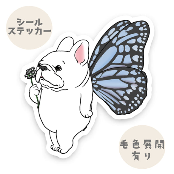 幸運のちょうちょなフレブルちゃん。96−233