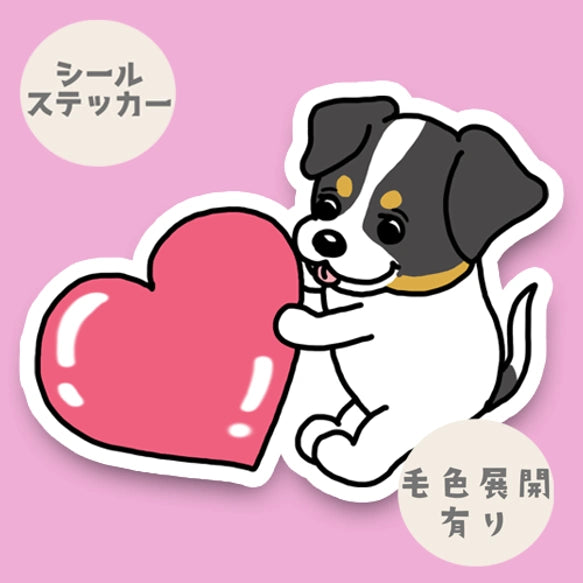 ハートを届けたいジャックラッセルちゃん。42-15