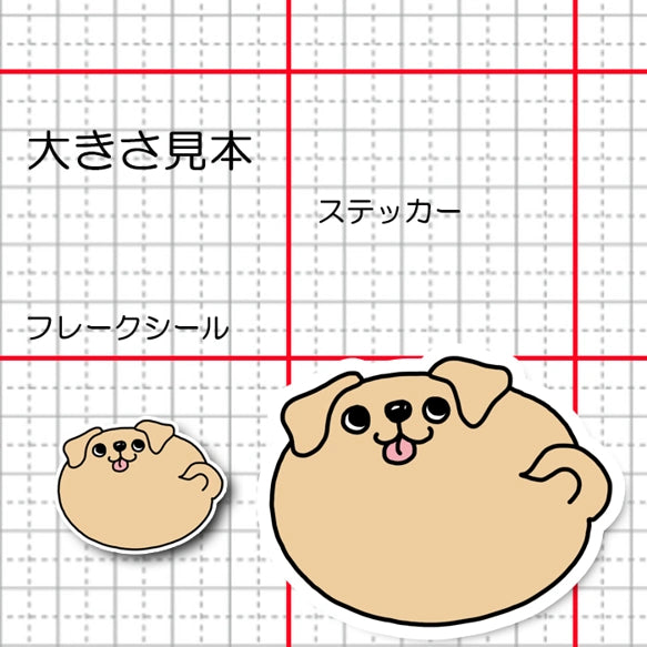 まん丸ラブラドールちゃん。117-12