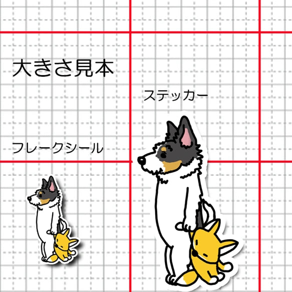 お留守番してる立ち耳ジャックラッセルちゃん。43-9