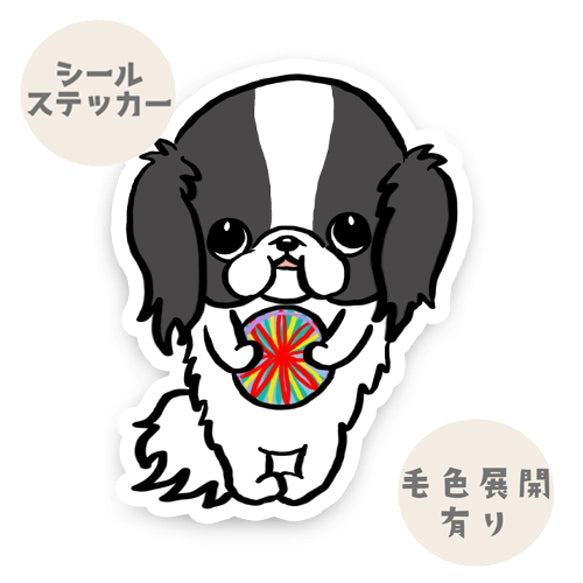 毬で遊びたい狆ちゃん。66-3
