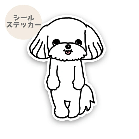 おすましマルチーズちゃん。109-