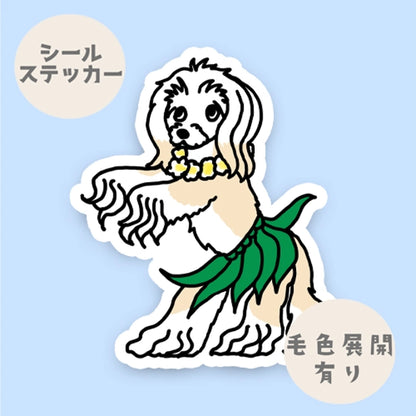 フラパウダーパフちゃん。58-3