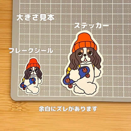 通学中のアメコカちゃん。5-9