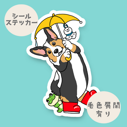 梅雨のお散歩で出会ったカーディガンちゃん。16-9