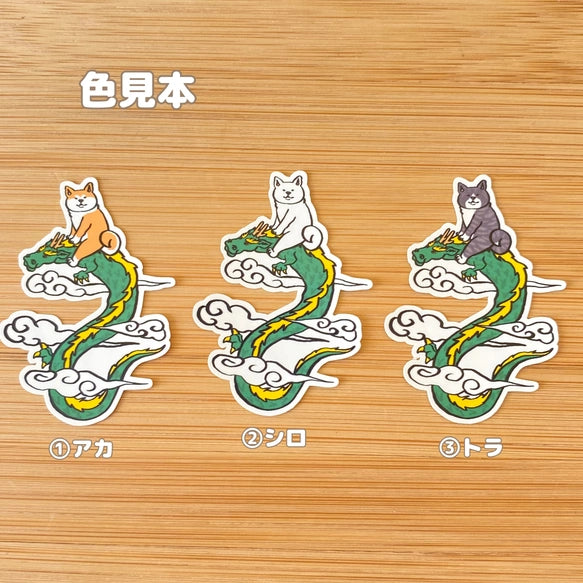 龍に乗ったアキタイヌさん。3-12