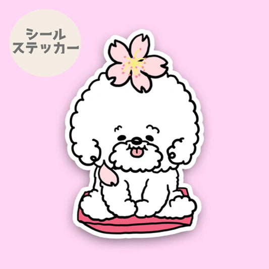 ビションフリーゼちゃんの春のご挨拶。 84-