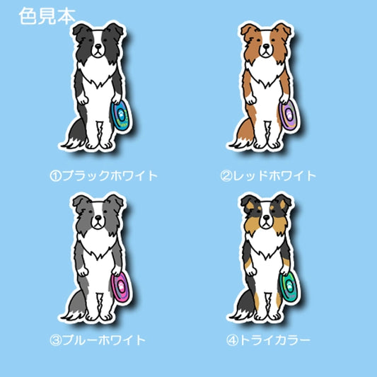 遊んでもらうの待ってるボーダーコリーちゃん。106-