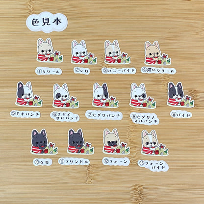 砂浜で遊ぶフレブルちゃん。96−152