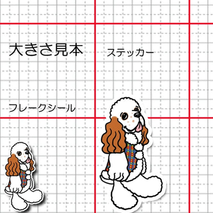 冬のおしゃれなアメコカちゃん。5-24