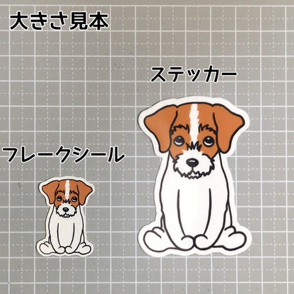 おすわりしてるジャックラッセルちゃん。42-3