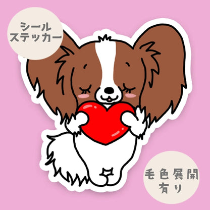 ラブパピヨンちゃん。80-