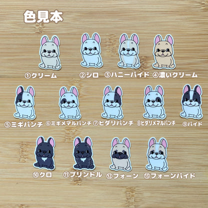 ファニーフェイスフレブルちゃん。96−300