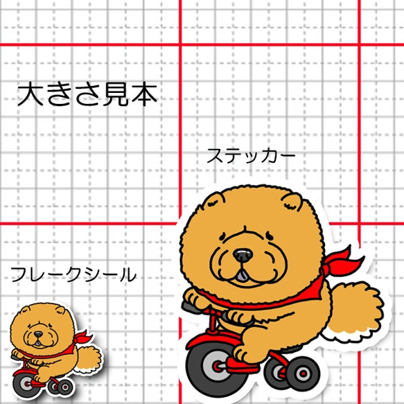 三輪車で走り続けるチャウチャウちゃん。59-3