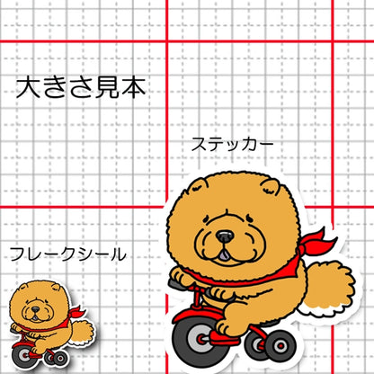 三輪車で走り続けるチャウチャウちゃん。59-3