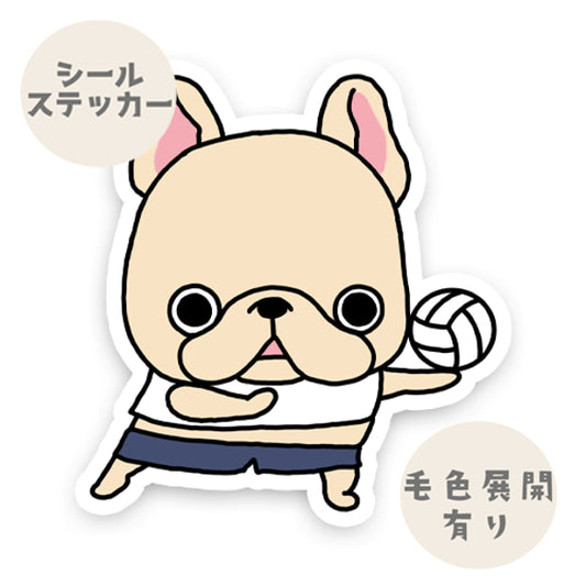 バレーボールフレブルちゃん。96−340