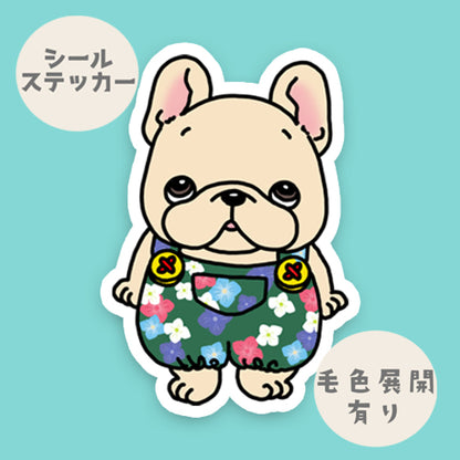 アジサイサロペットのフレブルちゃん。96−541