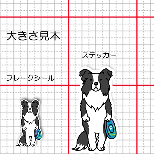 遊んでもらうの待ってるボーダーコリーちゃん。106-