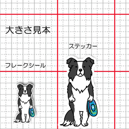 遊んでもらうの待ってるボーダーコリーちゃん。106-
