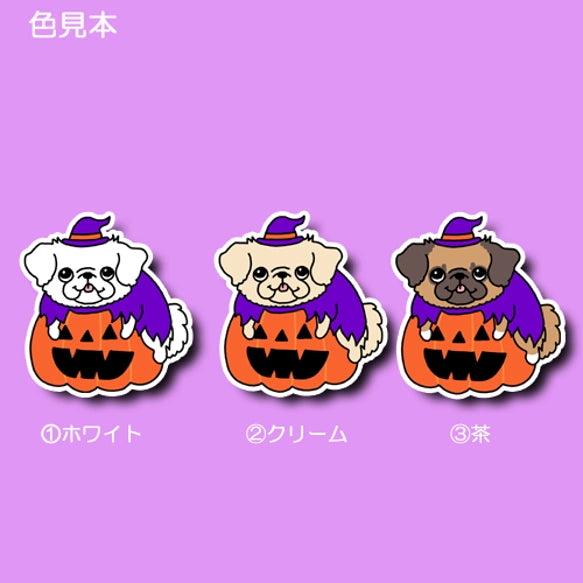 オバケカボチャとチワペキちゃん。62-11