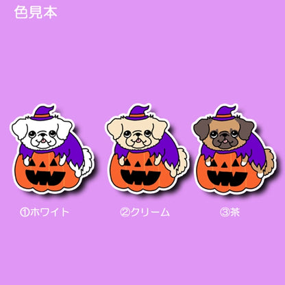 オバケカボチャとチワペキちゃん。62-11