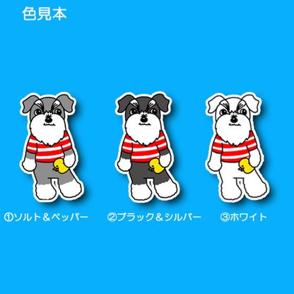 おしゃれボーダーのシュナちゃん。44-13