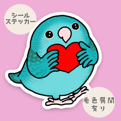 キモチを届けたいサザナミインコちゃん。