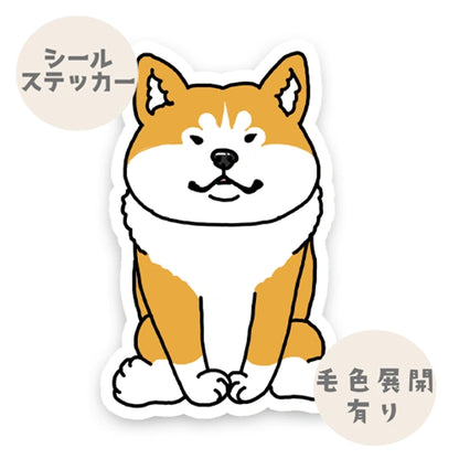 おすわりアキタ。3-2