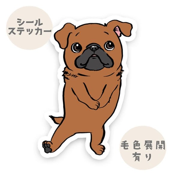 あのねーって言ってるプチブラちゃん。86-