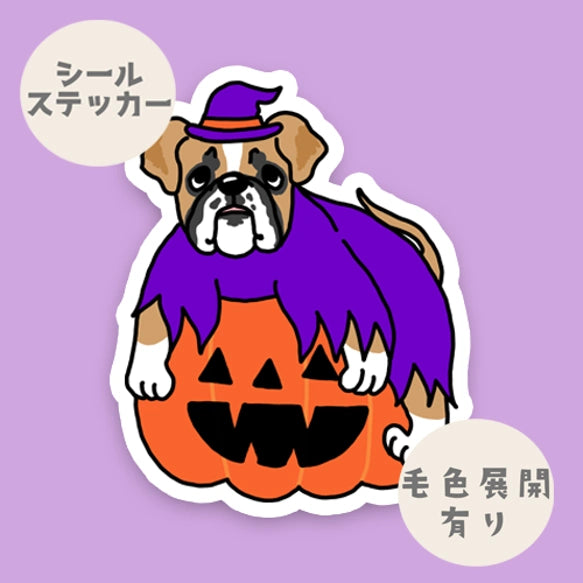 オバケカボチャとボクサーさん。　100-