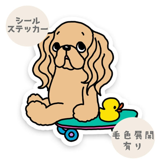 誰か来ないかなーって待ってるアメコカちゃん。5-6