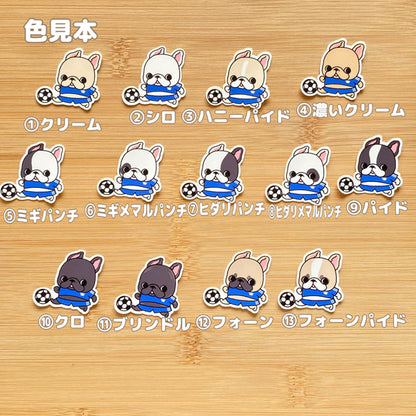 かわいいフレブルちゃんのサッカー。96−335