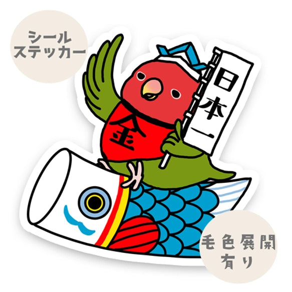 コザクラインコちゃんの端午の節句。
