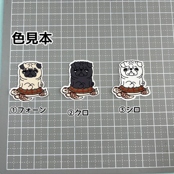 ウミガメさんに乗ったパグちゃん。76-