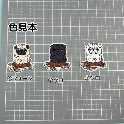 ウミガメさんに乗ったパグちゃん。76-