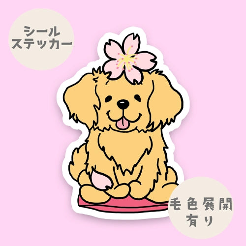 ゴールデンレトリバーさんの春のご挨拶。32-6