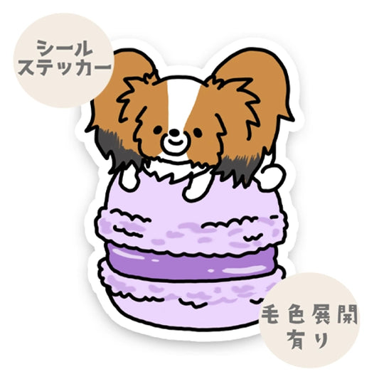 マカロンとパピヨンちゃん。80-