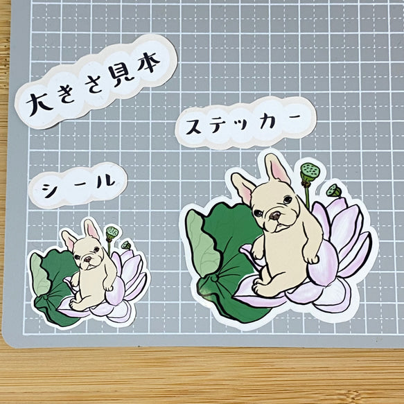 ハスノハナとフレブルちゃん。96−125