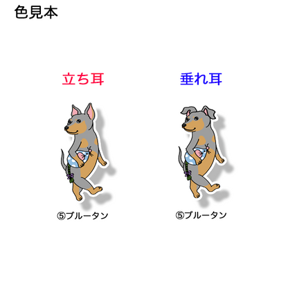 てくてくミニピンちゃん。113-1