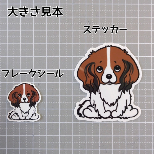 おすわりしてるコイケルちゃん。31-2