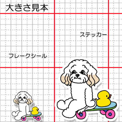 誰かと遊べるのを待ってるマルプーちゃん。111-7