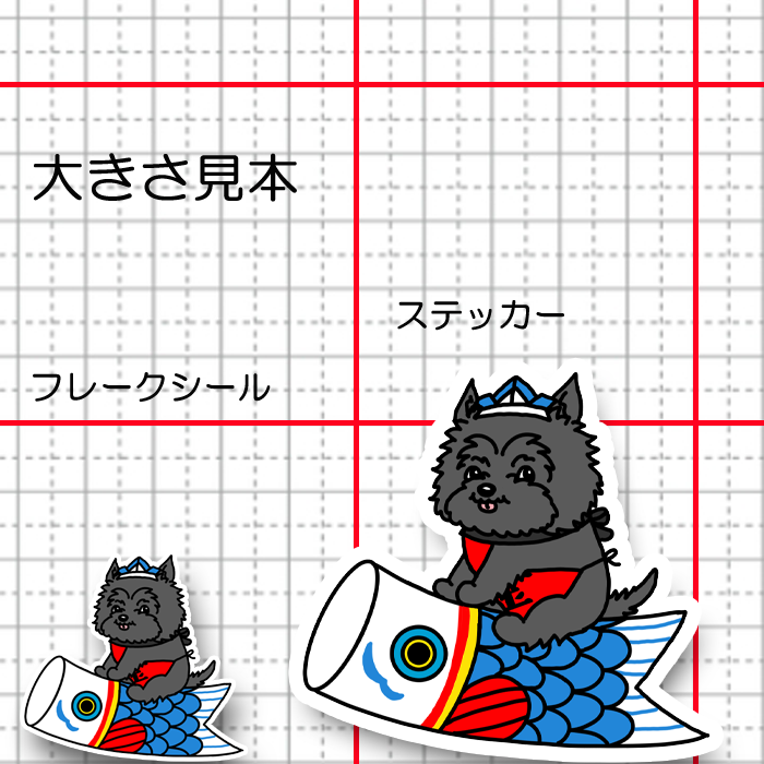 端午の節句のケアーンテリアちゃん。29-5