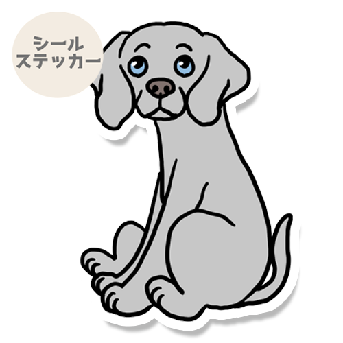 おすわりしてるワイマラナーさん。123-5