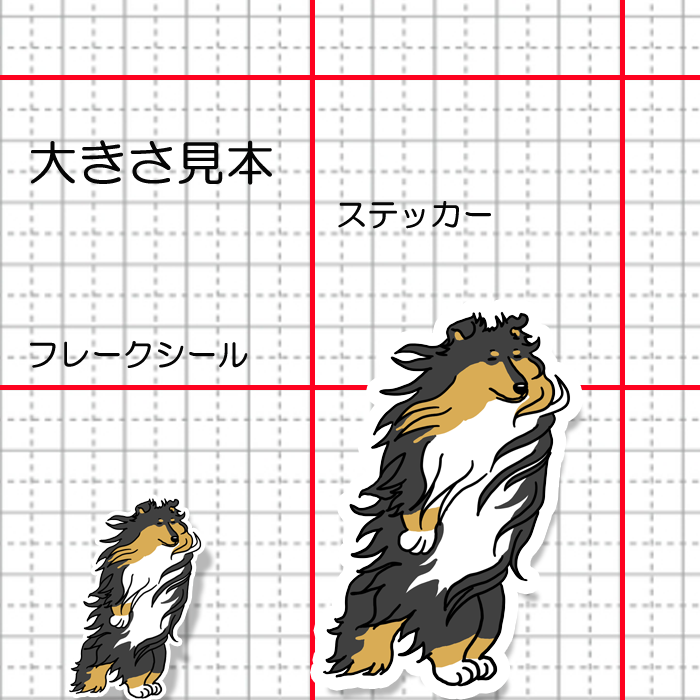 風に吹かれるラフコリーさん。116-3