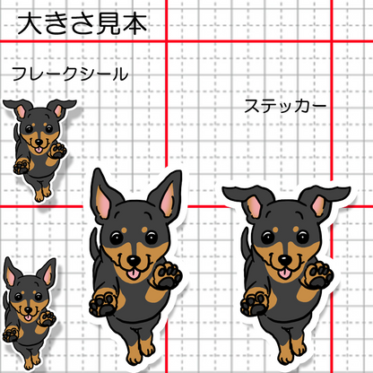 走ってくるミニピンちゃん。113-25