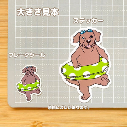 準備万端でプールを楽しむラブラドールちゃん。117-15