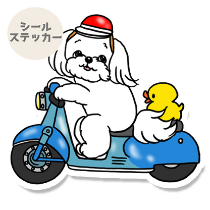 スクーターでお出かけマルチーズちゃん。109-26